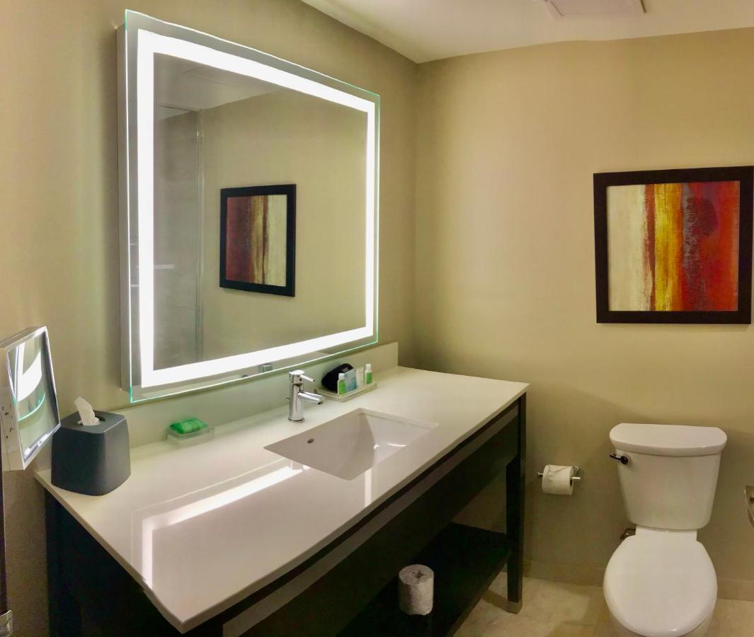 Holiday Inn Chicago Schaumburg By Ihg מראה חיצוני תמונה